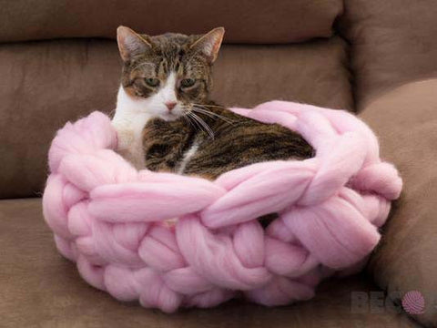 DIY Kit Pet Bed for Cats