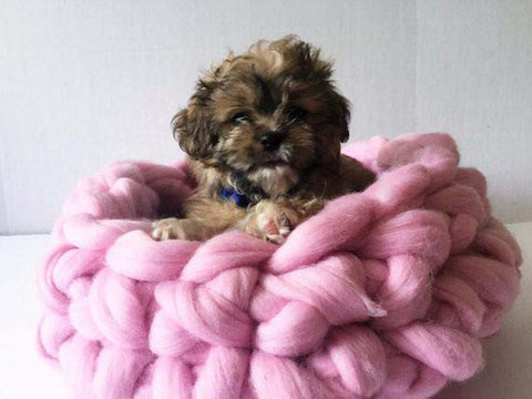 Merino Wool Dog Bed