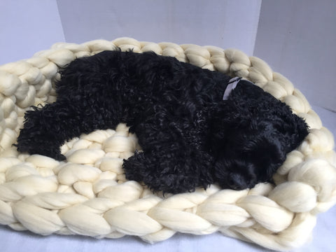 Chunky Merino Wool Dog Bed