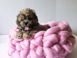 Merino Wool Dog Bed