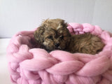 Merino Wool Dog Bed